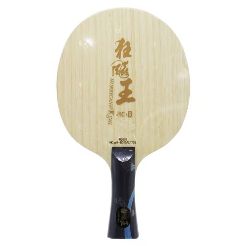 Originele DHS Hurricane King A - Table Tennis Launcher recensie en prijs